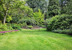 Optimiser l'expérience du jardin à Perrigny-sur-Armancon